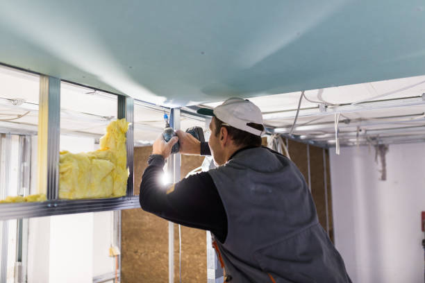 Best Insulation for Specific Applications in Lanai City, HI