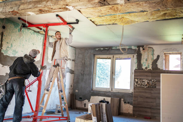 Best Residential Insulation in Lanai City, HI