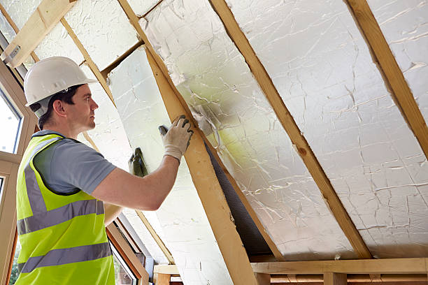Best Types of Insulation in Lanai City, HI
