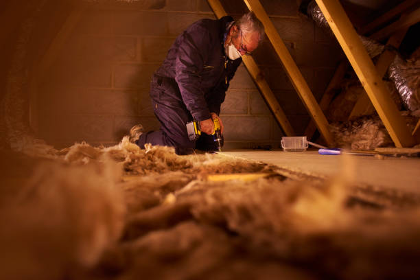Best Insulation Installation Services in Lanai City, HI